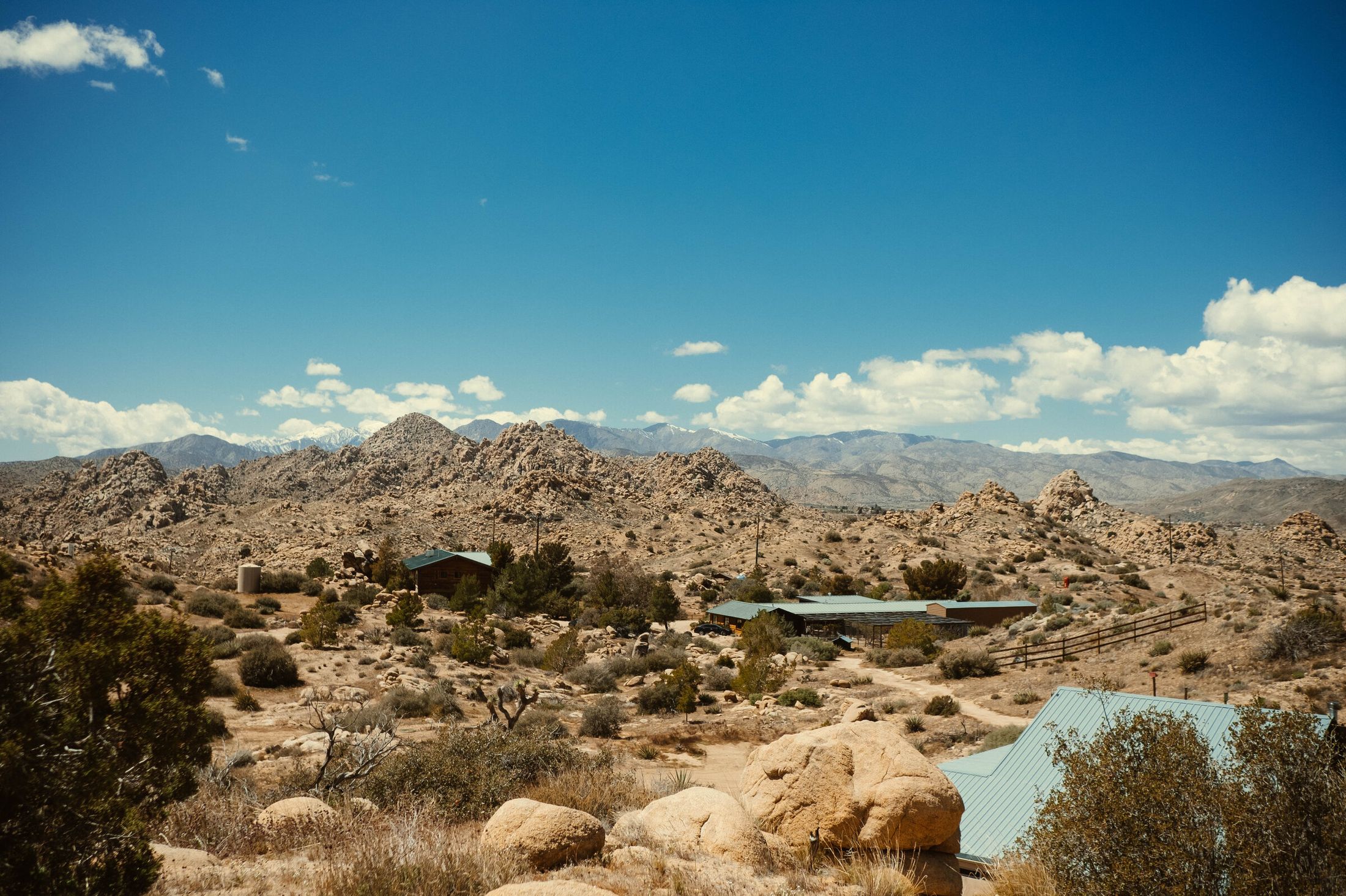 Cactus and high desert flora at ESCAPE